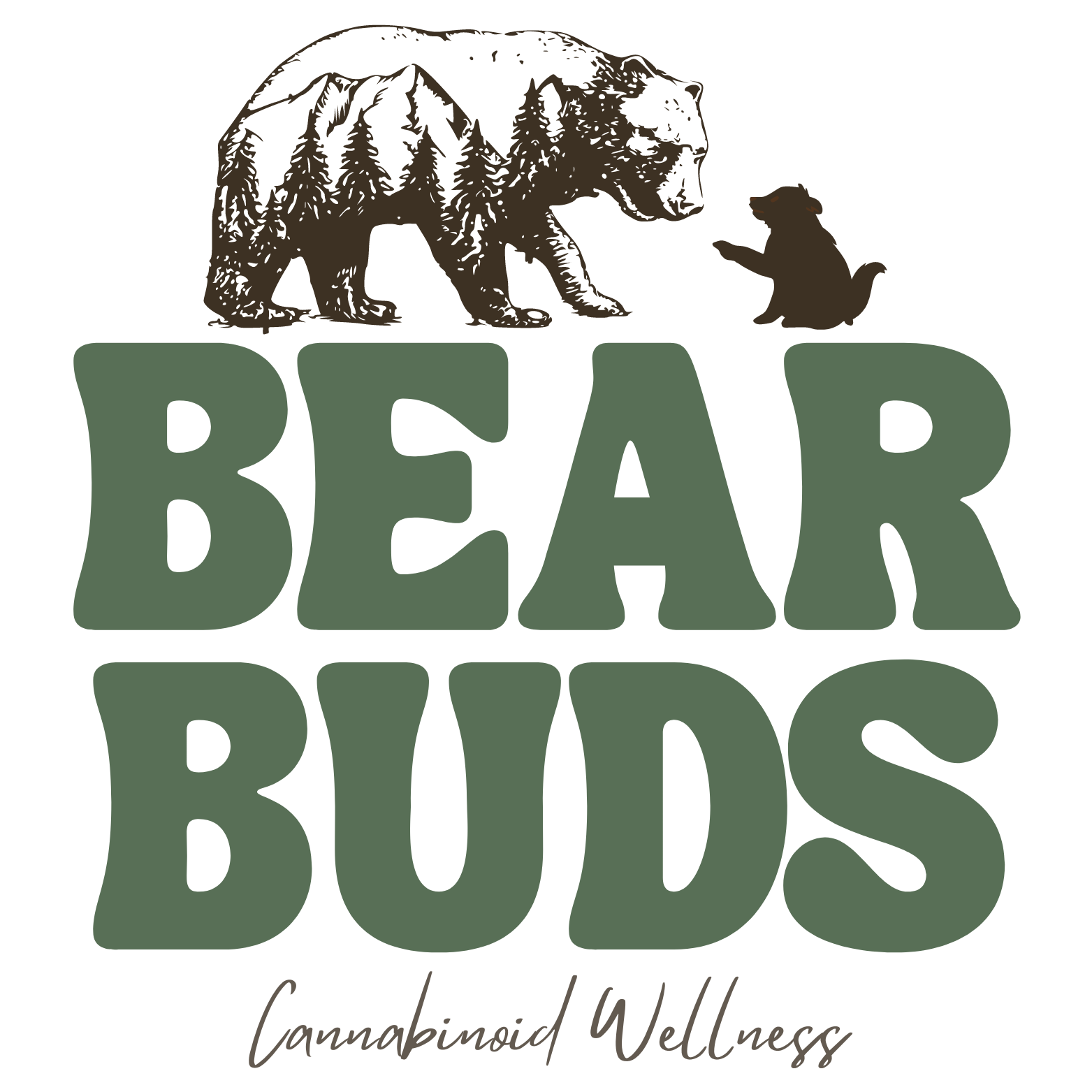 Welcome to Bear Buds